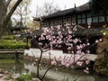 Springtime in Humble Administrator`s Garden, one of the most famous classical gardens of Suzhou