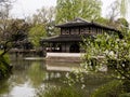 Springtime in Humble Administrator`s Garden, one of the most famous classical gardens of Suzhou Royalty Free Stock Photo