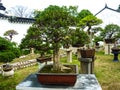 SUZHOU, CHINA - October 23, 2013: Bonsai tree in Humble Administrator`s Garden Royalty Free Stock Photo