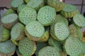 Lotus seeds sold at a market in Humble Administrator`s Garden or Zhuozheng yuan in Suzhou, China Royalty Free Stock Photo
