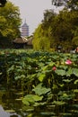 Suzhou Zhuozhengyuan Garden, Jiangsu, China Royalty Free Stock Photo