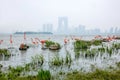 Suzhou Jinji Lake City Sculpture --- Flamingo Royalty Free Stock Photo