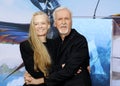 Suzy Amis Cameron and James Cameron