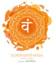 Svadhishthana chakra vector