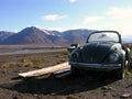 Svalbard Abandoned Beetle