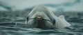 Svalbard Serenade: Beluga\'s Minimalist Ode. Concept Wildlife Photography, Arctic Landscapes, Marine Life, Environmental