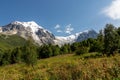 Svaneti - Bushes of Rosebay Willowherb blooming in Greater Caucasus Mountain Range in Georgia. Snow-capped peaks