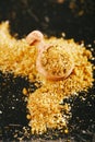 Svanetian Salt Traditional Georgian seasoning Royalty Free Stock Photo