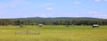 Svansele Dammaenger, a former water-meadow in Sweden. It is now a nature reserve