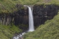 Svartifoss Waterfall Skaftafell Royalty Free Stock Photo