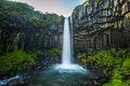 Svartifoss, Black Waterfall, Iceland Royalty Free Stock Photo