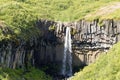 Svartifoss falls in summer season view, Iceland Royalty Free Stock Photo