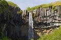 Svartifoss falls in summer season view, Iceland Royalty Free Stock Photo