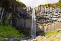 Svartifoss falls in summer season view, Iceland Royalty Free Stock Photo