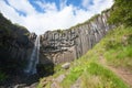 Svartifoss falls in summer season view, Iceland Royalty Free Stock Photo