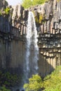 Svartifoss falls in summer season view, Iceland Royalty Free Stock Photo