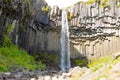 Svartifoss falls in summer season view, Iceland Royalty Free Stock Photo