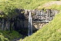 Svartifoss falls in summer season view, Iceland Royalty Free Stock Photo