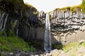 Svartifoss falls in summer season view, Iceland Royalty Free Stock Photo