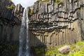 Svartifoss falls in summer season view, Iceland Royalty Free Stock Photo