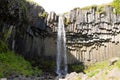 Svartifoss falls in summer season view, Iceland Royalty Free Stock Photo