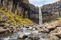 Svartifoss, famous Black waterfall, Iceland Skaftafel national park Royalty Free Stock Photo