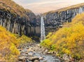 Svartifoss, famous Black waterfall, Iceland Skaftafel national park Royalty Free Stock Photo