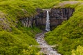 Svartifoss - the most picturesque waterfall of Iceland