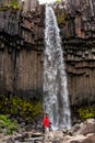 Svartifoss - the most picturesque waterfall of Iceland