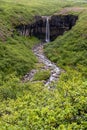 Svartifoss Waterfall