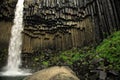 Svartifoss waterfall and basal Royalty Free Stock Photo