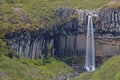 Svartifoss Waterfall, Iceland Royalty Free Stock Photo