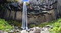 Svartifoss waterfall, Iceland Royalty Free Stock Photo