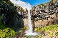 Svartifoss waterfall in Iceland Royalty Free Stock Photo