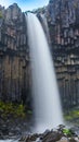 Svartifoss waterfall - Iceland