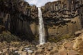Svartifoss waterfall, Iceland, south coast Royalty Free Stock Photo