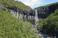 Svartifoss waterfall, Skaftafell National Park, bordering Vatnaj kull National Park, Iceland Royalty Free Stock Photo
