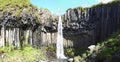 Svartifoss waterfall, Skaftafell National Park, bordering Vatnaj kull National Park, Iceland Royalty Free Stock Photo