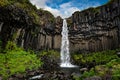 Svartifoss waterfall in the Skaftafell National Park Iceland Royalty Free Stock Photo