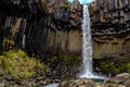 Svartifoss waterfall in Skaftafell National Park Royalty Free Stock Photo