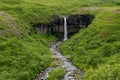 Svartifoss is a waterfall in Skaftafell in VatnajÃÂ¶kull National Park in Iceland