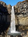 Svartifoss Waterfall in Southern Iceland Royalty Free Stock Photo