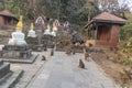 svayambunath monkey temple nepal. Kathmandu.