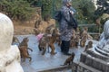 svayambunath monkey temple nepal. Kathmandu.