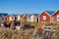 Svedjehamn, Finland - October 14, 2018: Red fishing houses on sunny weather at Swedjehamn with plant on the foreground