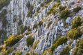 Sveti Nikola highest peak on the island of Hvar Royalty Free Stock Photo