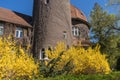 Blooming yellow forsythia in front of old sanatorium building Royalty Free Stock Photo