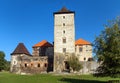 Svihov castle medieval water fortress, Czech Republic Royalty Free Stock Photo