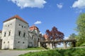 Svirzh Castle. Beautiful medieval castle with bridge