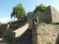 Svojanov castle, ghotic garden